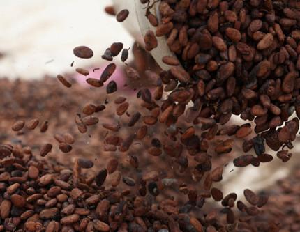 Emtia piyasasında kakao rallisi: Bu ay yüzde 20'den fazla arttı