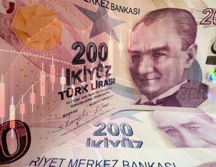 TÜİK açıkladı: Temmuzda hangi yatırım aracı ne kazandırdı?