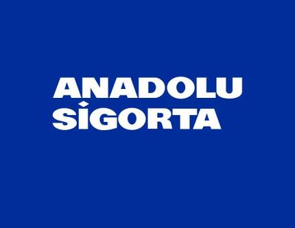 Fitch, Anadolu Sigorta’nın kredi notunu teyit etti