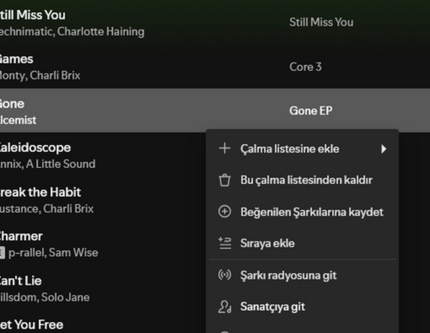 Bakan Yardımcısı'ndan Spotify'a 'playlist' tepkisi: Gerekli her adım atılacak