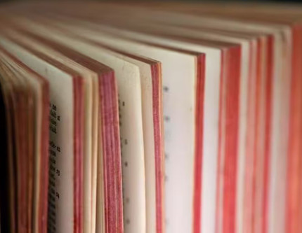 Cambridge Sözlüğü sosyal medya dilini kayda geçirdi: ‘Skibidi’, ‘tradwife’ ve 6 binden fazla kelime
