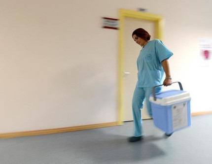 e-Devlet'ten organ bağışı dönemi: Ailelere öncelik geliyor