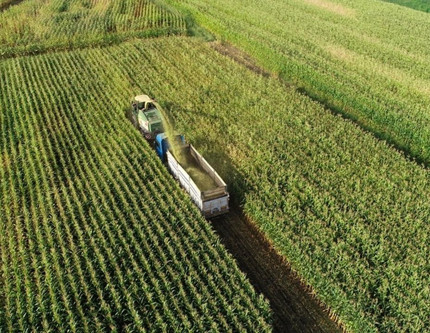 25 ülkeye ihracat yapıyor: Gıda devi konkordato talebinde bulundu