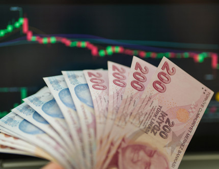 TÜİK açıkladı: Ekim ayında hangi yatırım aracı ne kazandırdı?