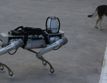 Türk start-up’tan milli robot köpek: 2026 başında göreve hazır olacak