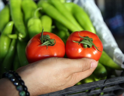 Tarım, gıda ve içecek sektöründen 9 ayda 19,67 milyar dolarlık ihracat