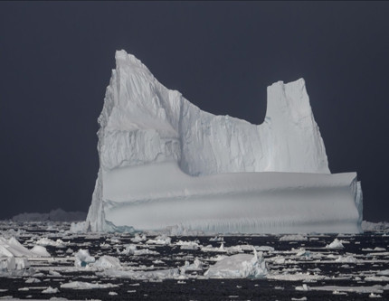 Küresel ısınmanın tehlikeli boyutu: 2100'de tamamen yok olacaklar