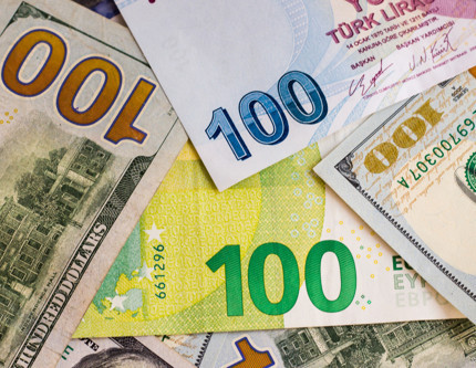 Döviz sevdalısı iller belli oldu: Dört ilde paranın yarısı dövizde