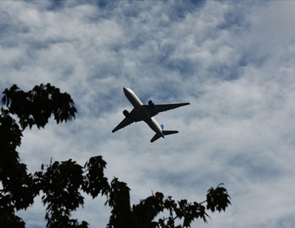 ABD’de uçuşlar normale dönüyor: 40 havalimanındaki kısıtlamalar sona eriyor
