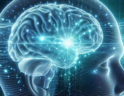 Çarpıcı araştırma: İnsan beyni 5 evreden geçiyor, ergenlik 32 yaşına kadar sürüyor