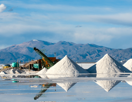 Ukrayna’da tuz fabrikası yatırımı: Bir Türk şirketi de projede yer alıyor