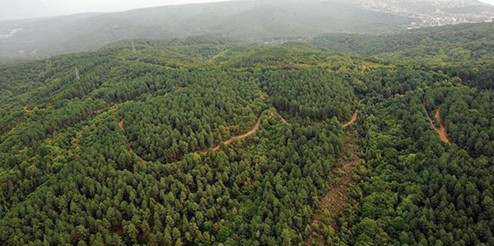 Orman alanları arsa vasfına geçirildi haberlerine DMM'den açıklama