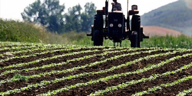 Tarımda sözleşmeli üretim yönetmeliğinde yeni düzenlemeler
