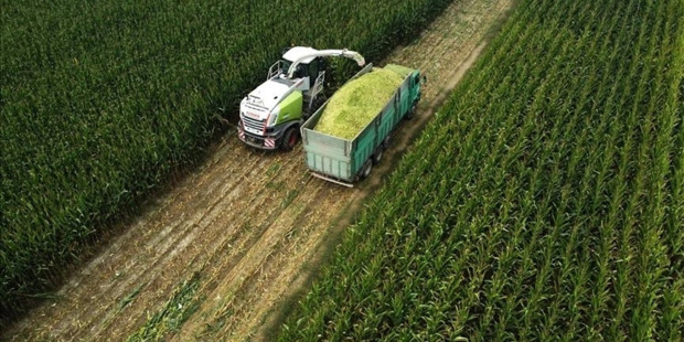 Tarımsal girdi fiyatları bir yılın zirvesinde