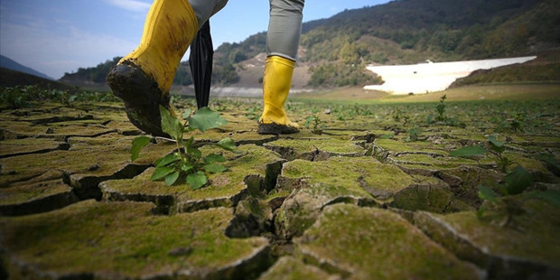İklim krizinin maliyeti 310 milyar doları geçti: Gelişmekte olan ülkeler finansman açığıyla karşı karşıya