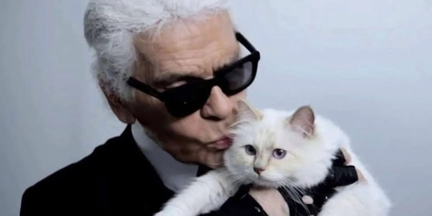 Kedisine servet bırakmıştı: Karl Lagerfeld’in yaklaşık 200 milyon euroluk mirası davalık oldu