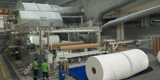 Lila Kağıt temettü dağıtacak