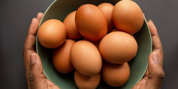Salmonella salgını büyüyor! 8 ülkeye yayıldı, 306 kişi hastalandı