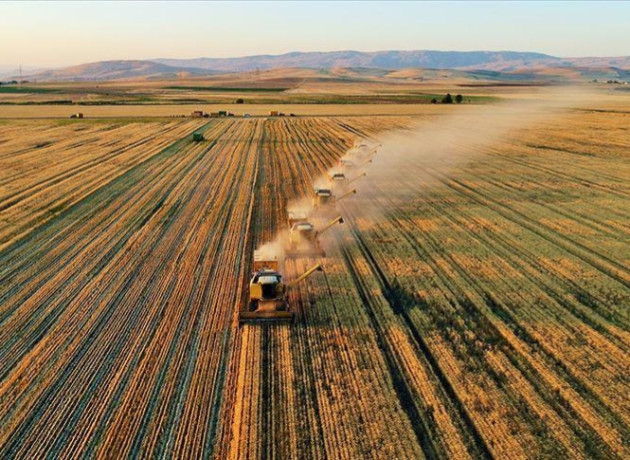 25 ülkeye ihracat yapıyor: Gıda devi konkordato talebinde bulundu