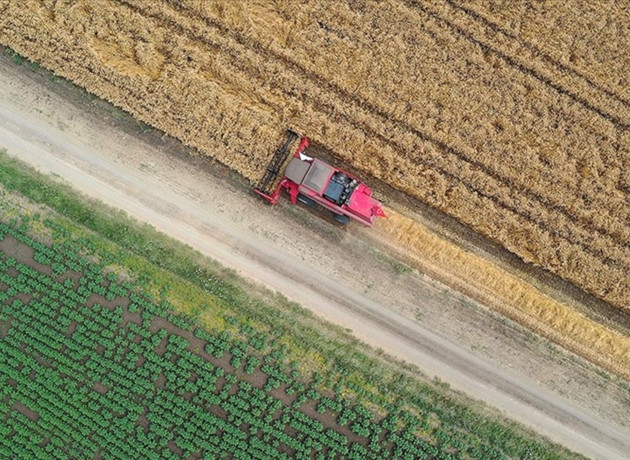 Tohum piyasasında rekabet ihlali soruşturmasında karar