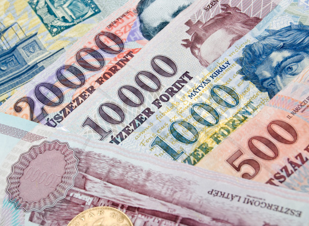Macaristan'da milletvekili maaşı yüzde 40 düşürüldü
