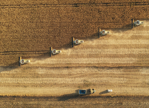 FAO'dan harekete geçme çağrısı: "Açlık füzelerden daha ekonomik bir silah"