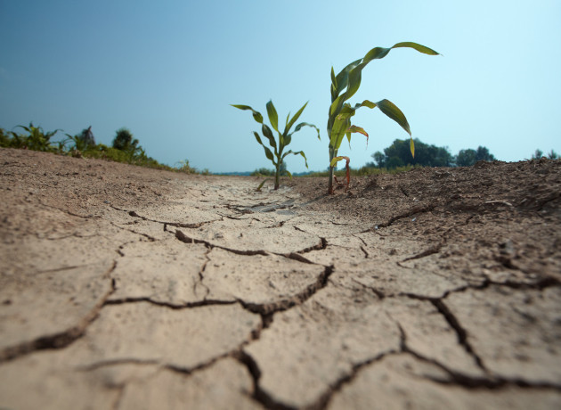 Küresel ekonomi için yeni tehdit El Nino... Dünyayı trilyon dolarlık zarar bekliyor