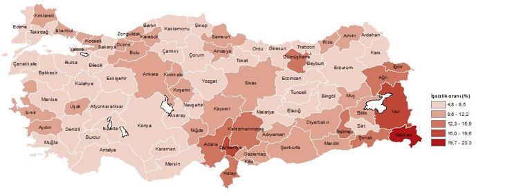 TÜİK açıkladı: En yüksek işsizlik bu illerde - Resim : 1