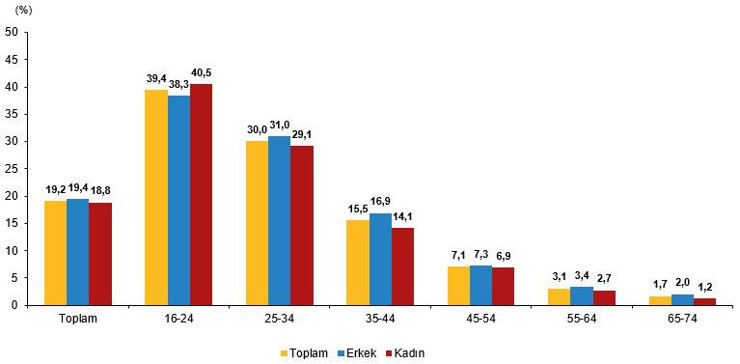 TÜİK'ten ilk kez yapay zeka istatistikleri: Türkiye’de kaç kişi üretken yapay zeka kullanıyor? - Resim : 3