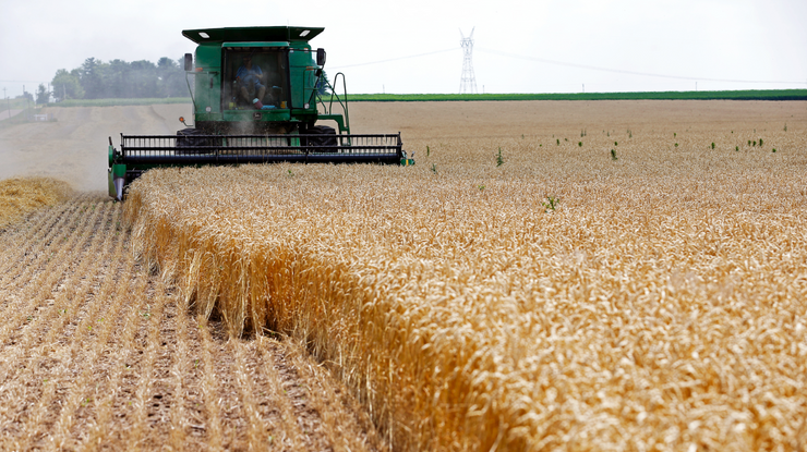 Rusya'dan Türkiye'ye buğday ihracatı açıklaması
