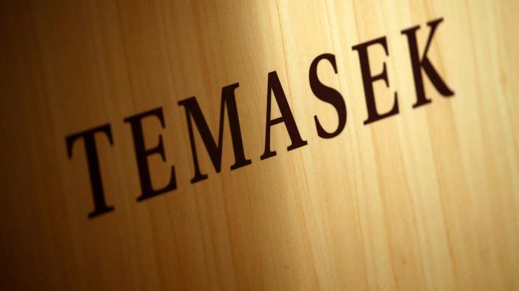 Temasek, ABD'ye 30 milyar dolarlık yatırım planlıyor