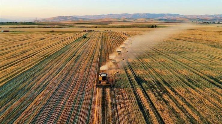 Tarımda üretici fiyatları 3 yılın en düşüğünde