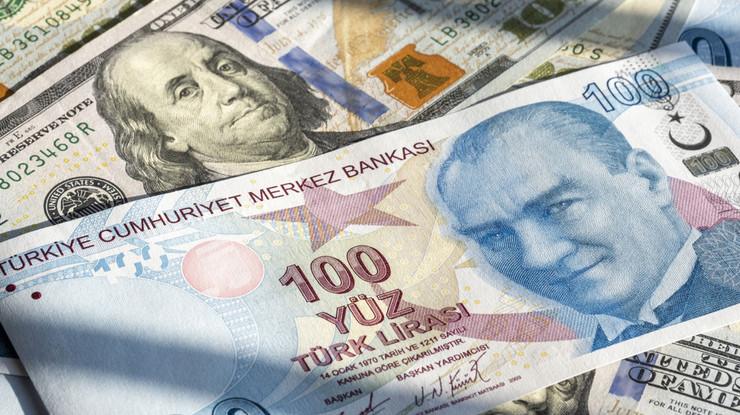 Merkez Bankası döviz kurları (8 Ekim 2024)