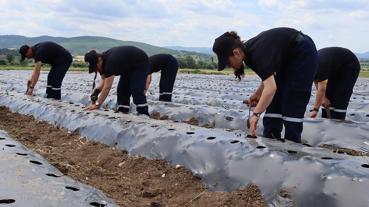 Konfrut Gıda, 2024 ve 2025 beklentilerini açıkladı