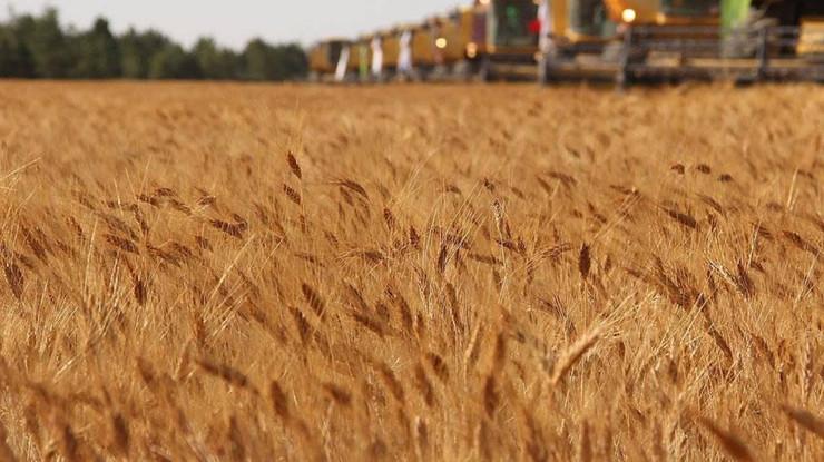 OECD: Tarım sektörü çok sayıda zorlukla karşı karşıya