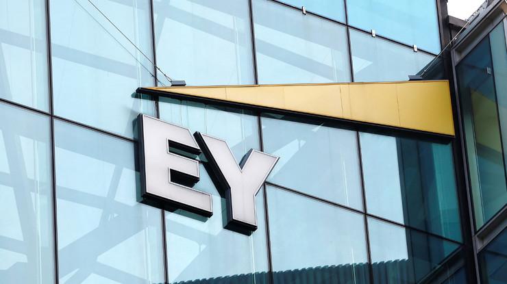 EY, 2024'te 51,2 milyar dolar gelir elde etti