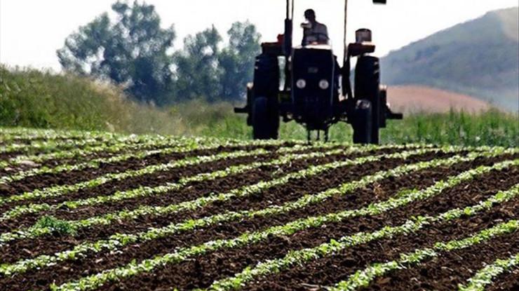 Tarım ÜFE ocakta aylık bazda yüzde 2,74 arttı