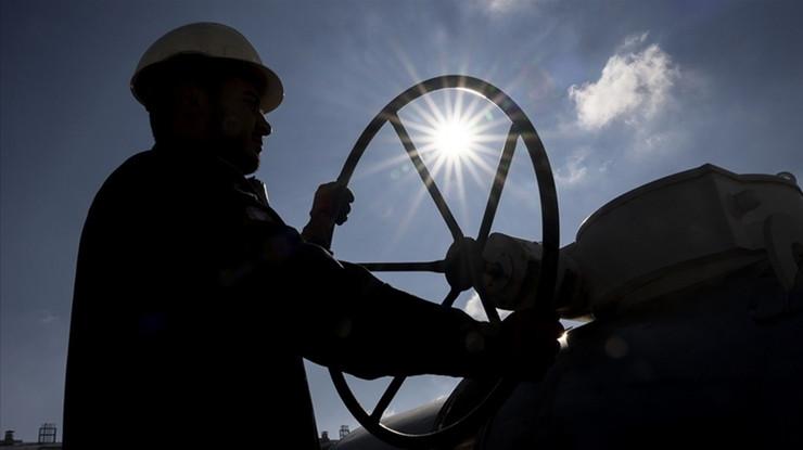 Şebekeye doğalgaz girişinde şubatta tüm zamanların rekoru kırıldı