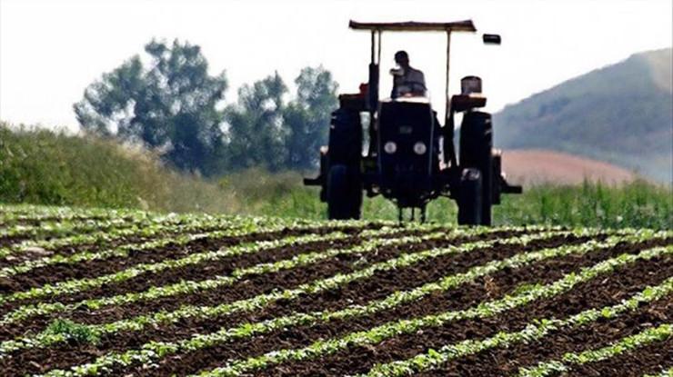 Tarım ÜFE 44 ay sonra yüzde 30'un altında