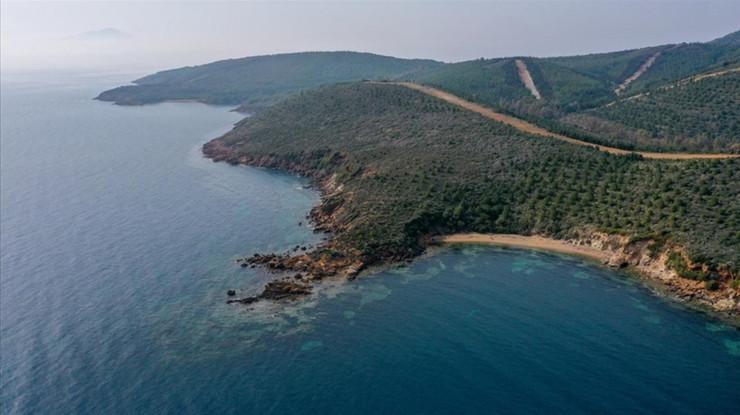Orman alanlarının deniz kıyısında kalan bölümü özel mülkiyete tahsis edilebilecek