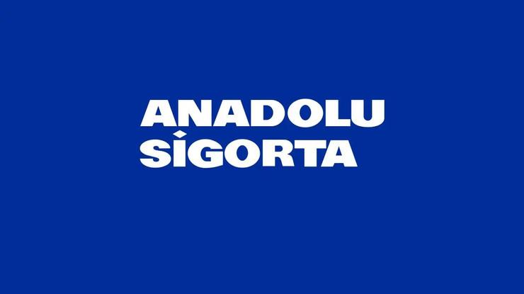 Fitch, Anadolu Sigorta’nın kredi notunu teyit etti