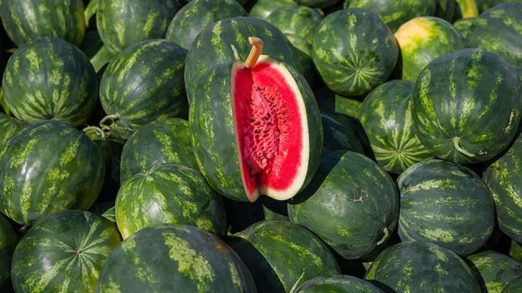 Karpuzda üretici-market fiyat farkı yüzde 614