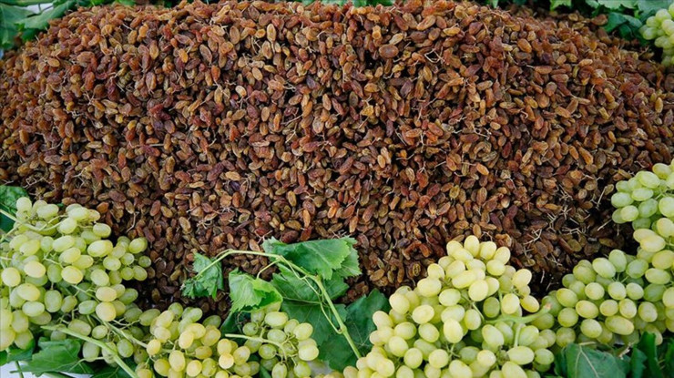 TMO'nun çekirdeksiz kuru üzüm alım fiyatı belli oldu