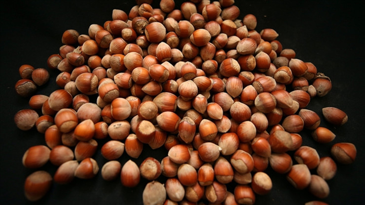 Rekabet Kurulu’ndan Ferrero için yeni karar: Fındık alım taahhüdünü revize etti