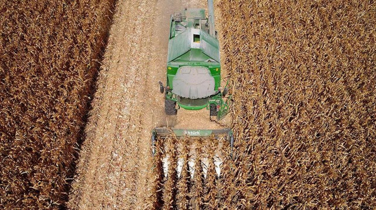 Arpa ve mısır ithalatında tarife kontenjanları artırıldı