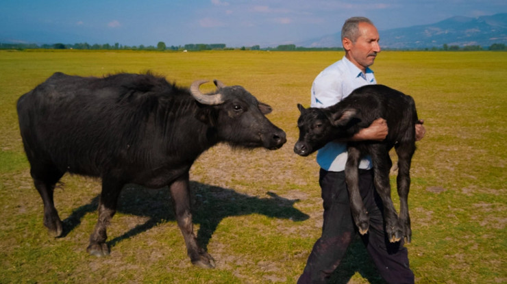 Huawei'in fotoğraf yarışmasında dünya ikincisi Tokat'tan çıktı