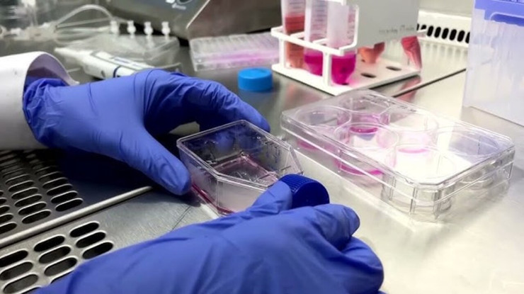 Tıpta devrim yaratacak deney: Mikro robotlar test edildi