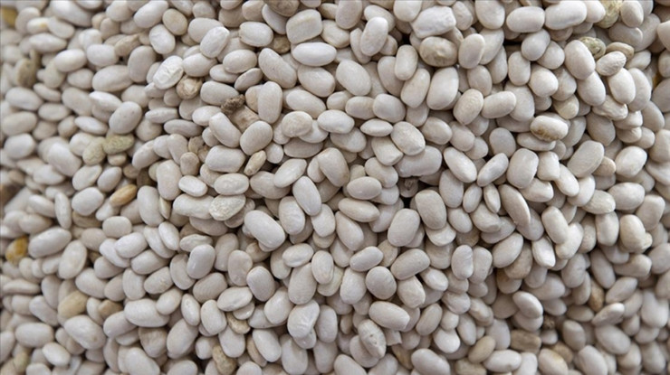 DMM'den 'kuru fasulye krizi' iddiasına yanıt