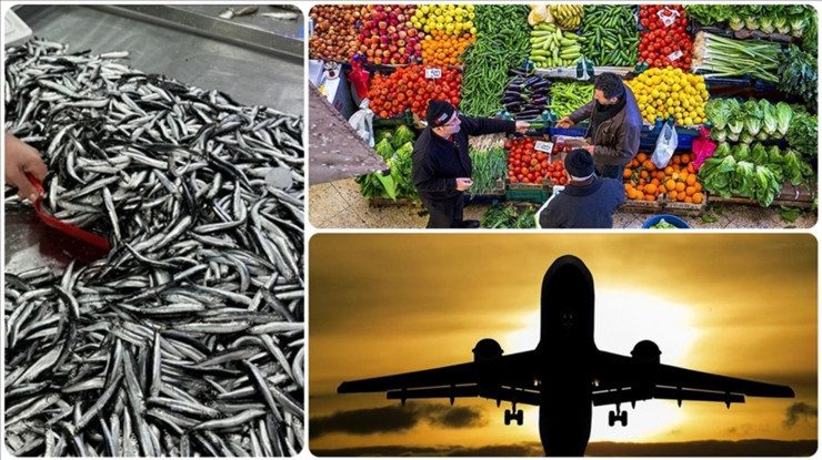 Aralıkta taze balık zam şampiyonu, en sert düşüş uçak biletinde