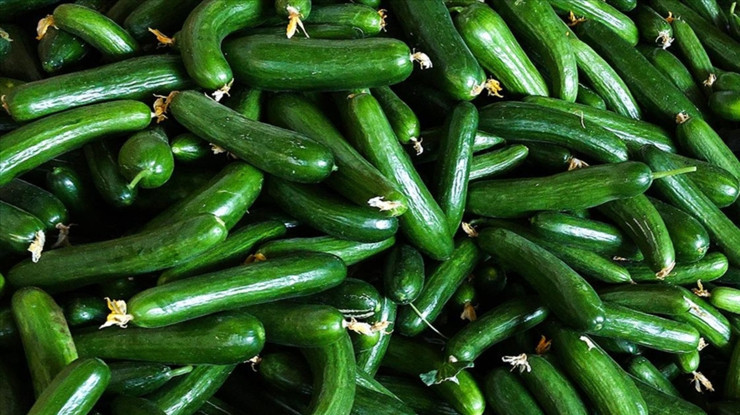 İstanbul'da şubat ayının zam şampiyonu salatalık